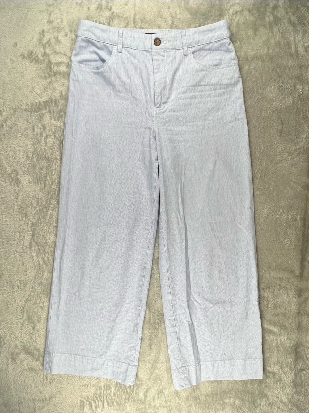 J. Crew Lizzie Pant Womens Size 27 Blue White Stripe Wide Leg Cropped Pants
